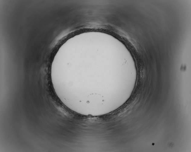 X0000101191304200807250953