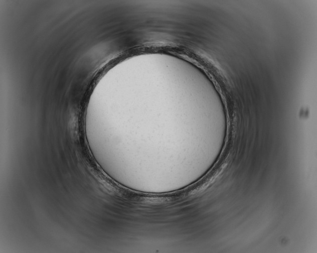 X0000101191305200807250953