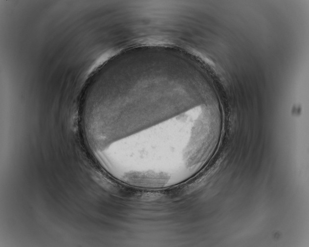 X0000101191306200807250953