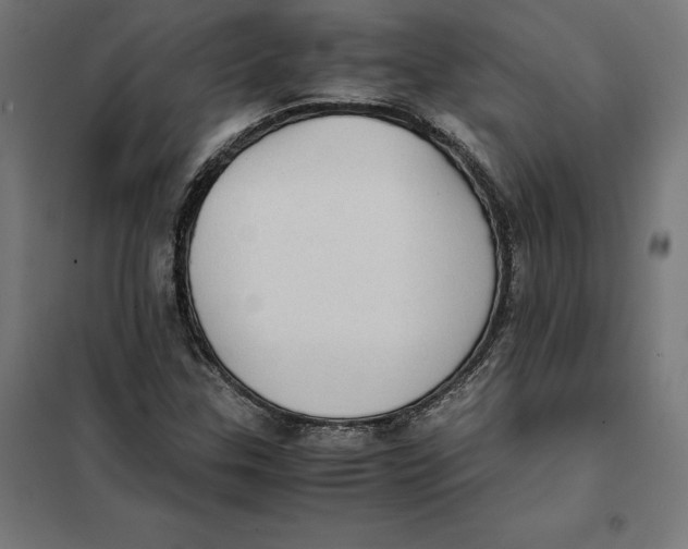 X0000101191307200807250953