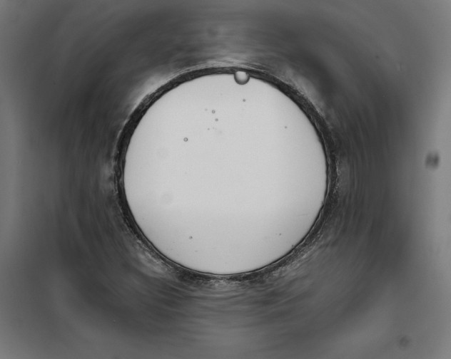 X0000101191308200807250953