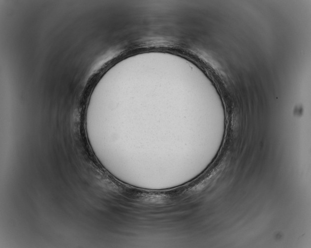 X0000101191309200807250953
