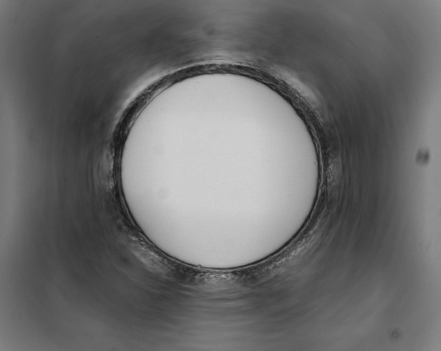 X0000101191310200807250953