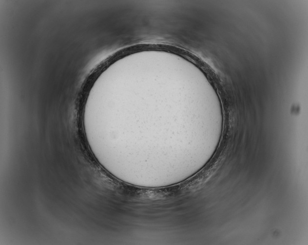 X0000101191311200807250953