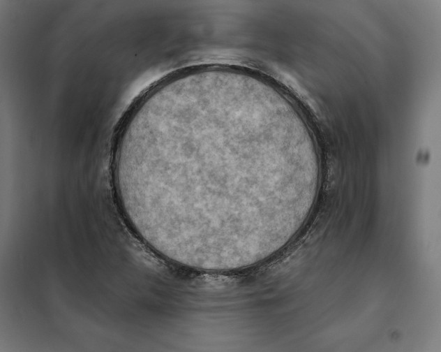 X0000101191312200807250953