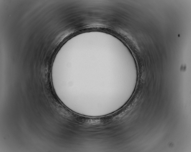 X0000101191313200807250953