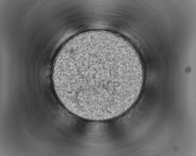 X0000101191314200807250953