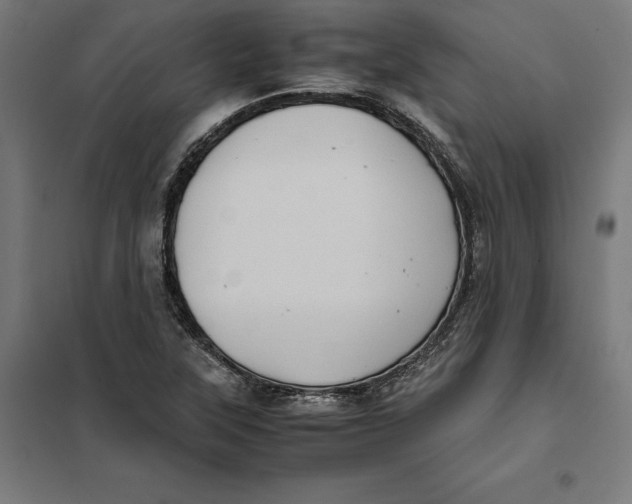 X0000101191315200807250953