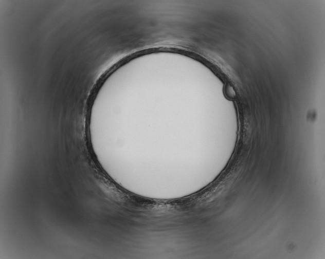 X0000101191316200807250953