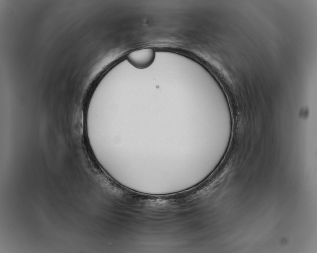 X0000101191317200807250953
