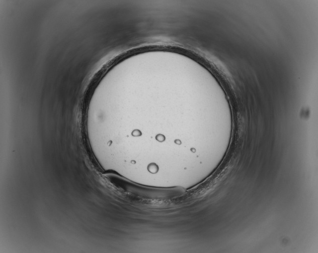 X0000101191318200807250953