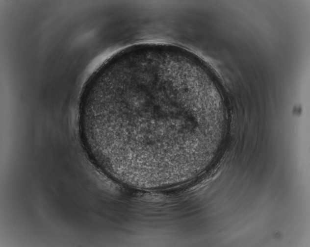 X0000101191319200807250953