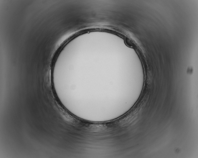 X0000101191320200807250953