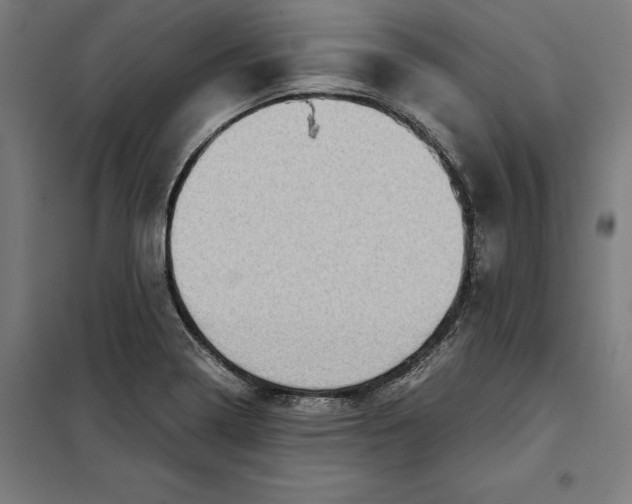 X0000101191322200807250953