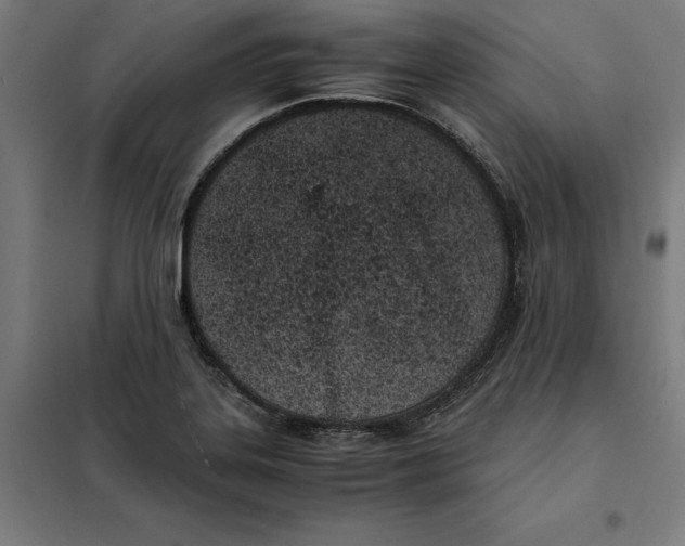 X0000101191323200807250953
