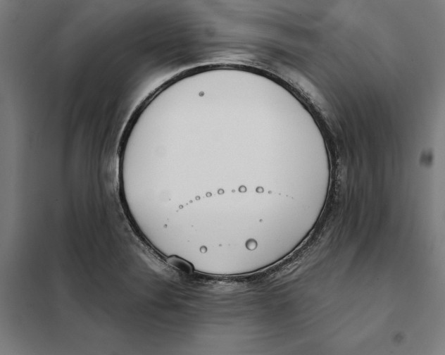 X0000101191324200807250953