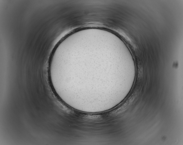 X0000101191325200807250953