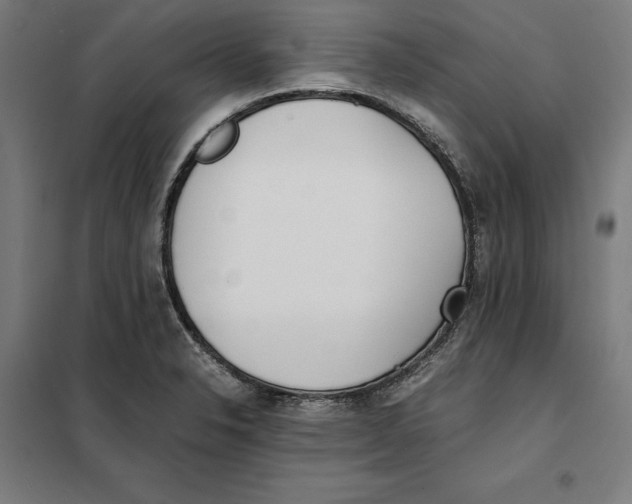 X0000101191326200807250953
