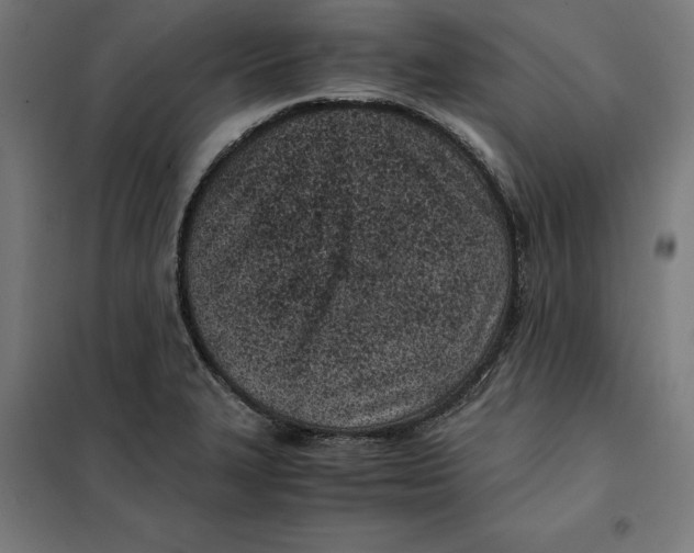 X0000101191327200807250953