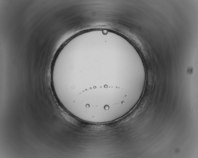 X0000101191328200807250953