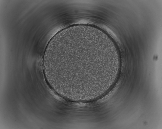 X0000101191329200807250954