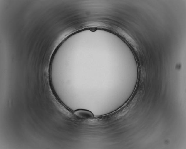 X0000101191330200807250954