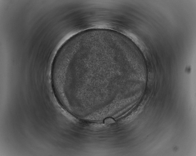 X0000101191331200807250954