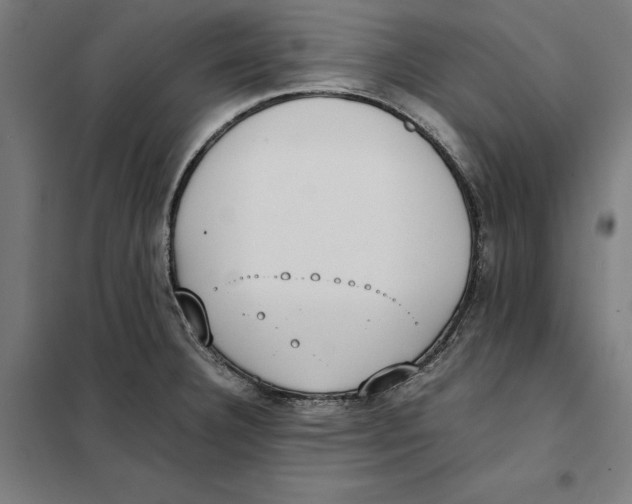 X0000101191332200807250954