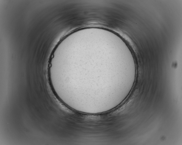 X0000101191333200807250954
