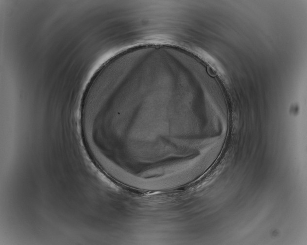X0000101191334200807250954