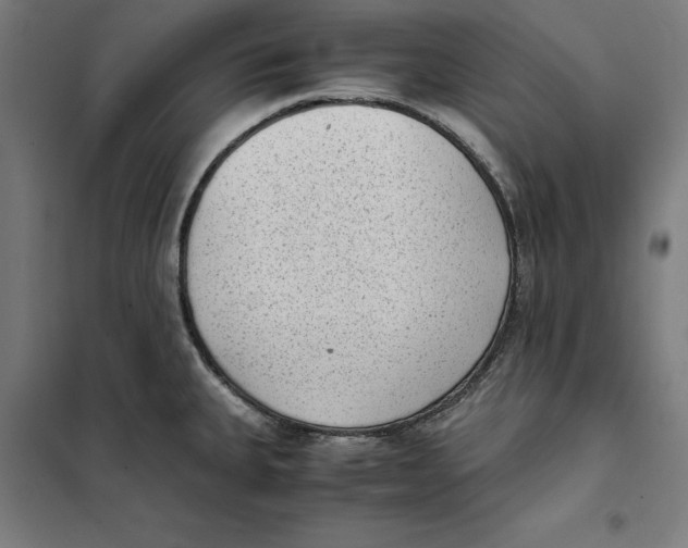X0000101191335200807250954