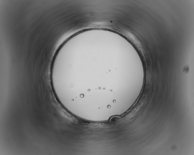 X0000101191336200807250954