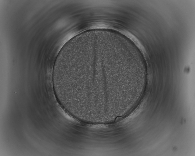 X0000101191337200807250954
