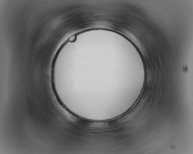 X0000101191339200807250954