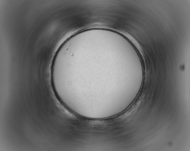X0000101191341200807250954