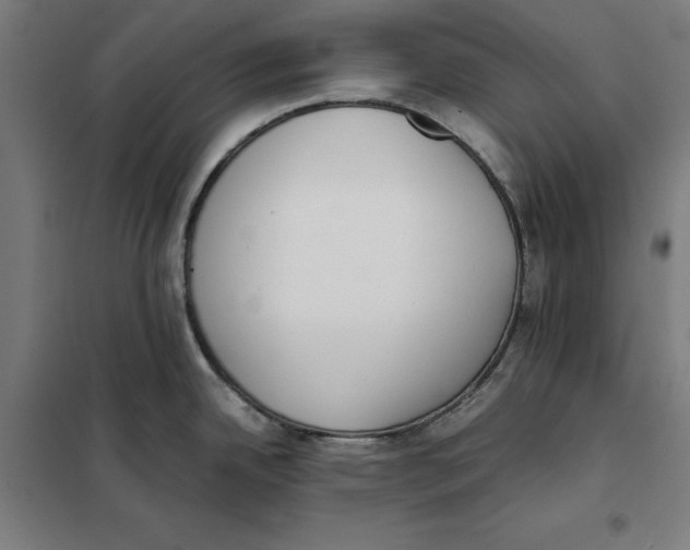 X0000101191342200807250954