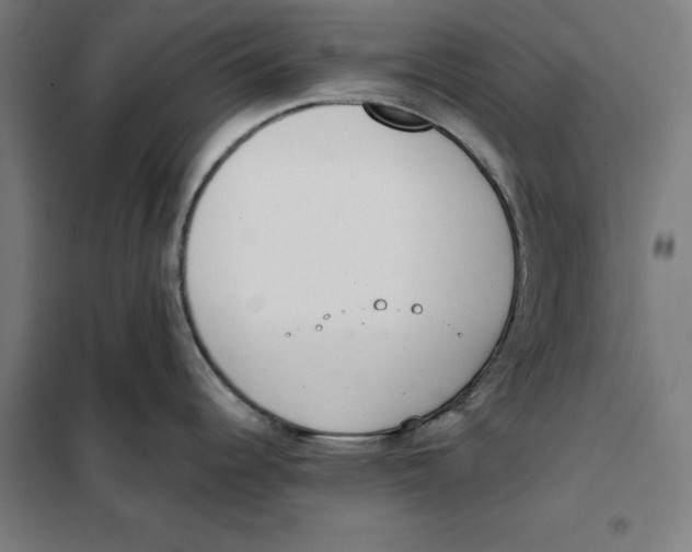 X0000101191344200807250954