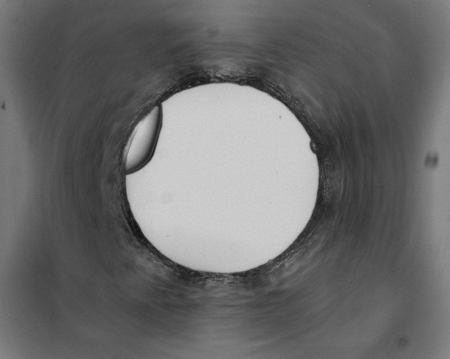 X0000101191345200807250953