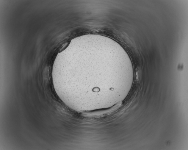 X0000101191347200807250953