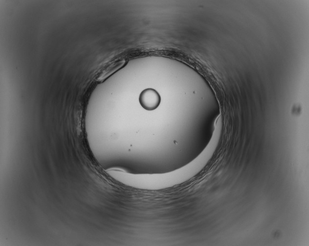X0000101191348200807250953