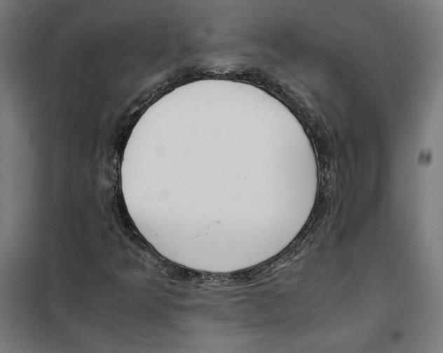 X0000101191349200807250953