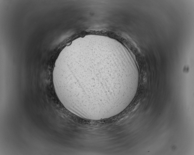 X0000101191350200807250953