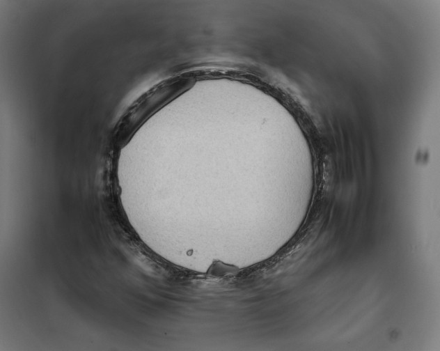 X0000101191352200807250953