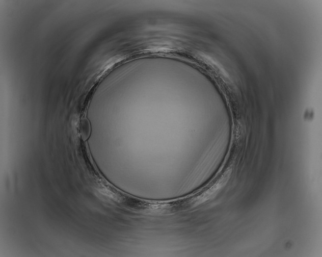 X0000101191353200807250953