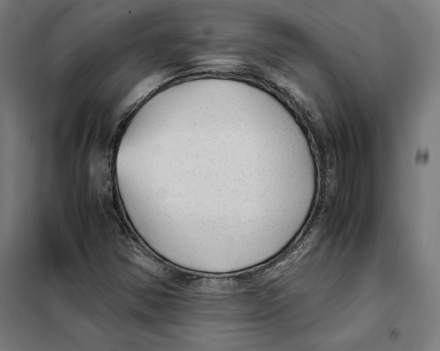 X0000101191354200807250953