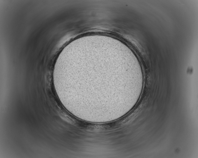 X0000101191355200807250953