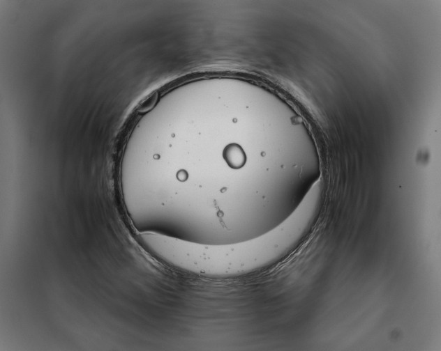 X0000101191356200807250953