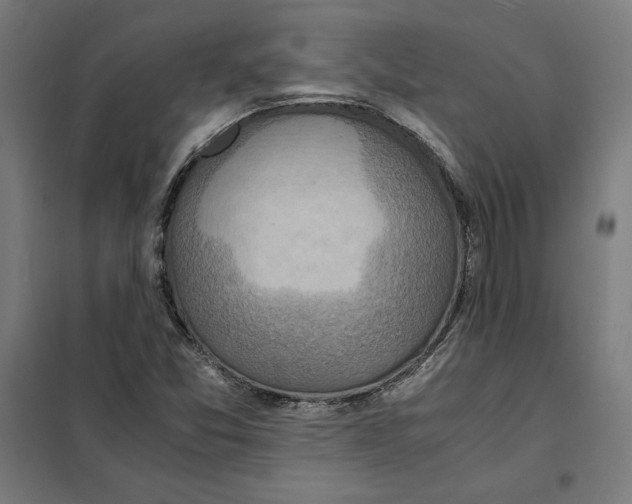 X0000101191357200807250953