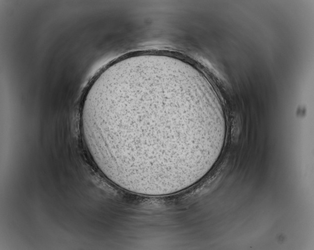 X0000101191358200807250953