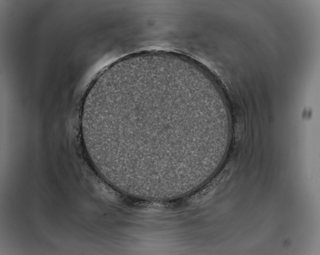 X0000101191359200807250953